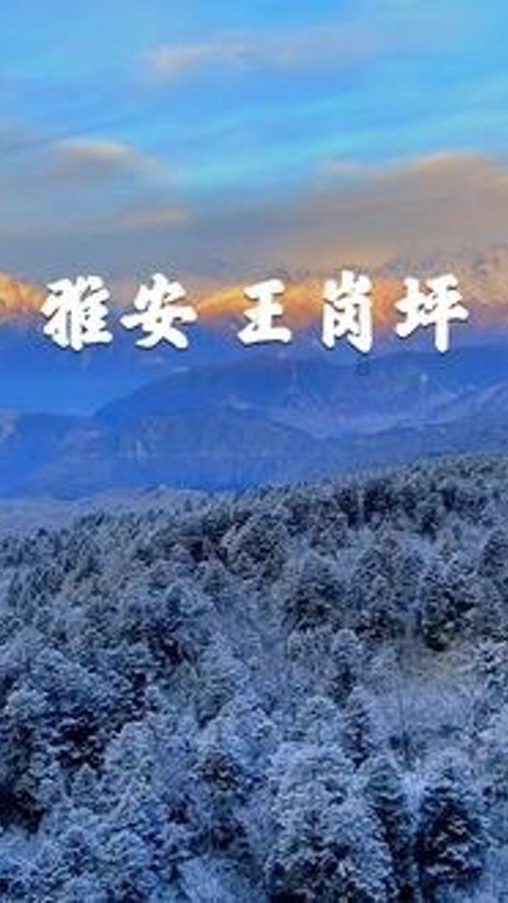 街篮高手