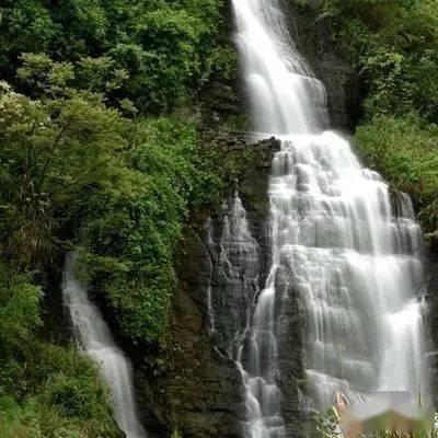 引球进框选关版